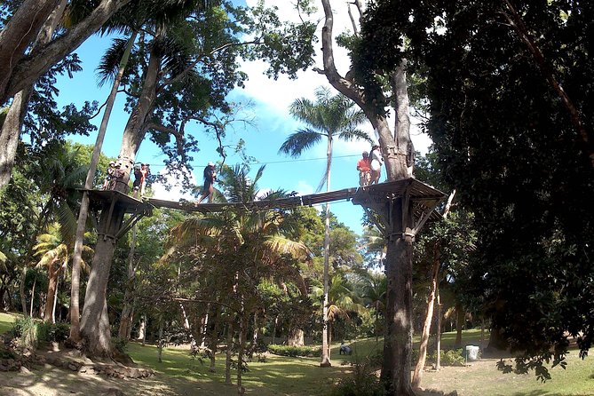 Zip Line over the Dunns River Falls - Guides, drivers, and the human side of the outing