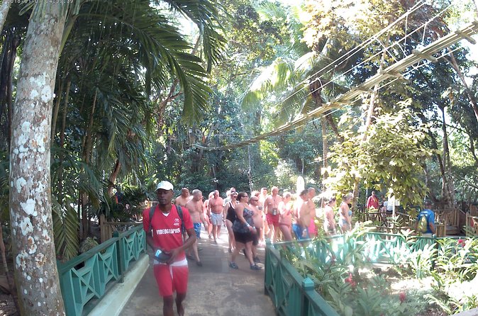 Zip Line over the Dunns River Falls - Who will enjoy this tour most