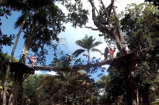 Zip Line over the Dunns River Falls - Small details that can improve your day