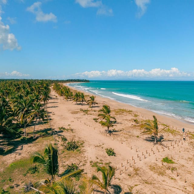 Zip Line Playa Esmeralda With Redonda Mountain - What $80 buys you