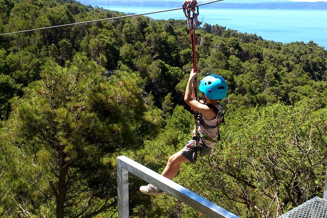 Zip line Tucepi - Six cables, wooded views, and a family-friendly format