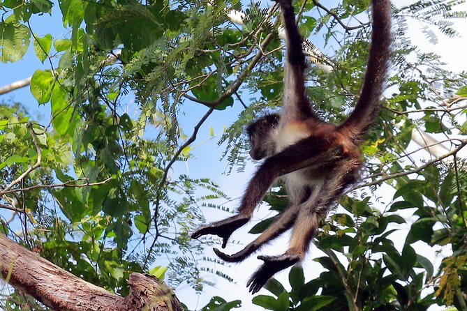 Zip lining and Canoe Monkey jungle in Tulum - Canoeing on the lagoon