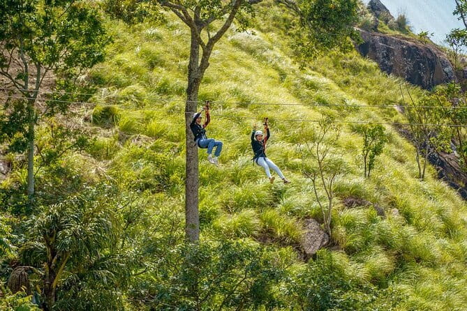 Zip Lining Experience in Ella - Is $40 good value?