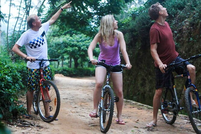 Zip Lining Experience in Ella - Timing, weather, and practical planning