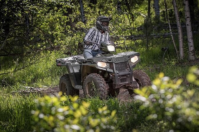 Zip-lining/Horseback Rides/Cat & Atv Inclusive Act with Transpo From Montego Bay - One day, several sides of Jamaica
