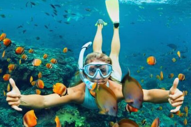 Zip-lining/Horseback Rides/Cat & Atv Inclusive Act with Transpo From Montego Bay - Catamaran cruise and snorkeling details