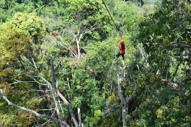 Zipline Adventure at Skyline Jungle Luge Chiang Mai - The guides shape the day
