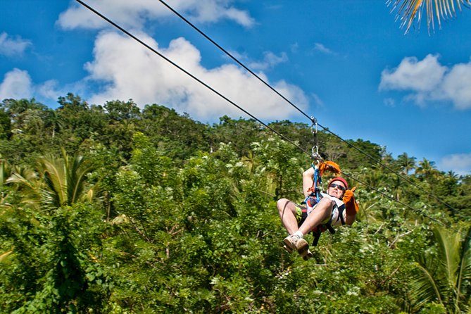 Zipline Adventure in El Limón - Key points to know before booking