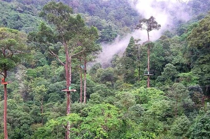 Zipline Adventure in KohSamui 10 Cables with Mountain & Sea Views - Crossing the suspension bridge to the café