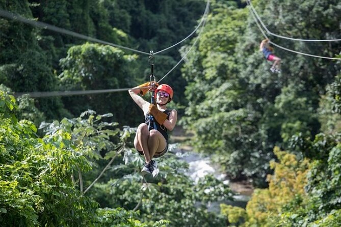 Zipline Adventure in Punta Cana – Thrilling Canopy Experience - The views are part of the appeal