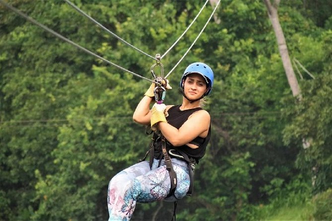 Zipline Adventure In The Rainforest - Key points to know before you book