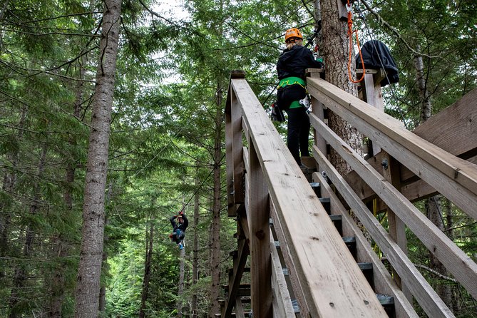 Zipline Adventure in Whistler - The forest walk is part of the tour