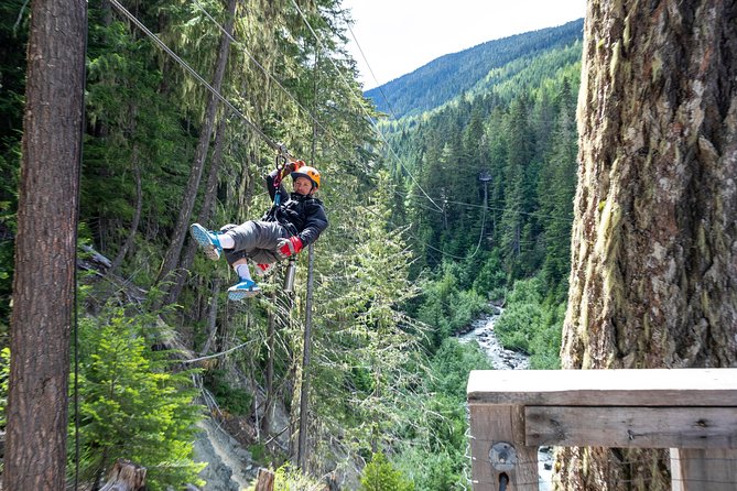 Zipline Adventure in Whistler - Is the $126.41 price fair?