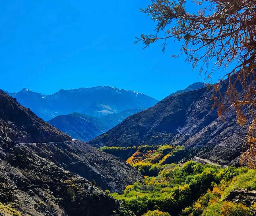 Zipline and Camel Adventures in Marrakech - Lunch is simple, and it is not included