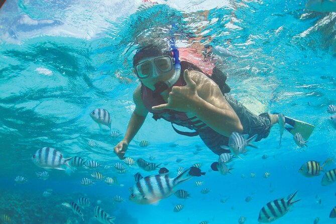 Zipline + Beach Package - Who will enjoy this Guam activity most?