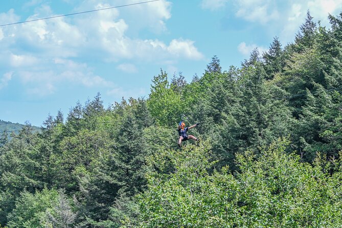 Zipline Canopy Activity Admission at Bristol Mountain - What the Bristol Mountain canopy course includes