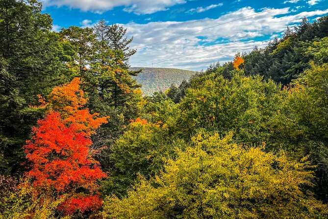 Zipline Canopy Activity Admission at Bristol Mountain - Is the experience good value?