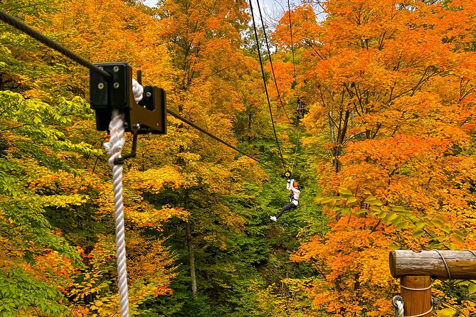 Zipline Canopy Activity Admission at Bristol Mountain - Forest hiking and Bristol Hills views