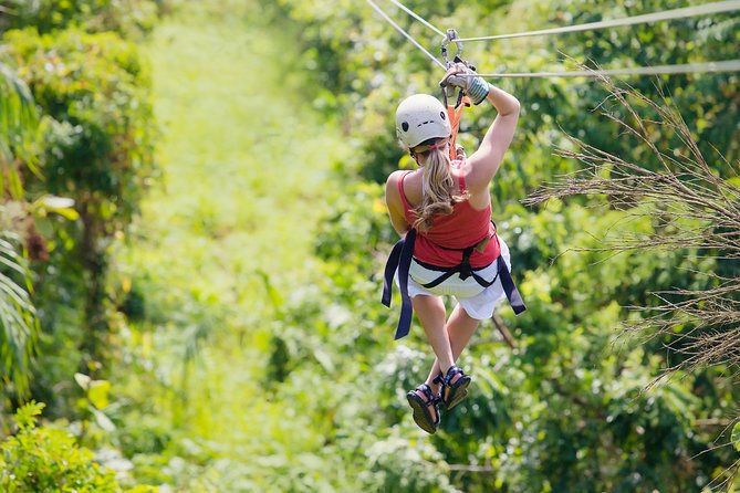 Zipline Canopy Tour & Tortuguero Canal Boat tour. Shore Excursion from Limon - Key points to know before you book