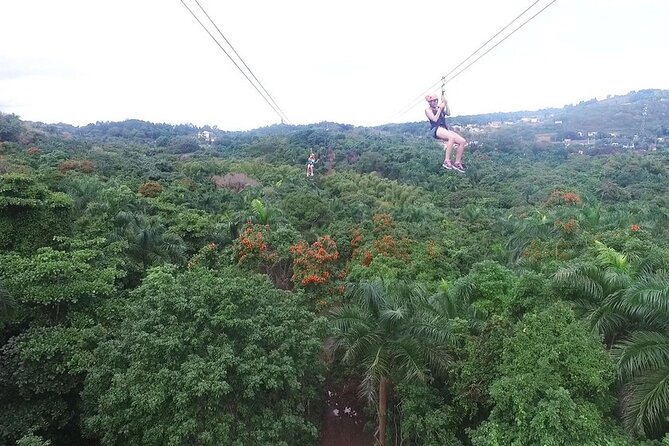 Zipline Canopy Tour with Transport from San Juan - Key points to know before you book