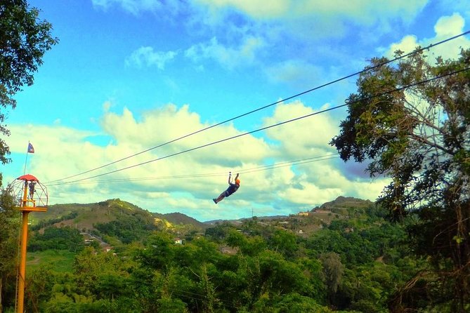 Zipline Canopy Tour with Transport from San Juan - Flying above El Yunque without planning a full day