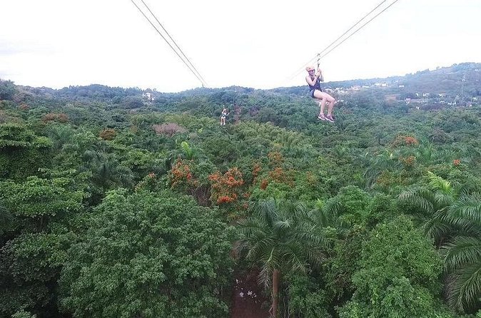 Zipline Canopy Tour with Transport from San Juan - Why lines seven and eight matter most