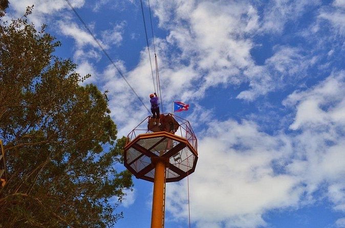 Zipline Canopy Tour with Transport from San Juan - Safety, comfort, and the fine print