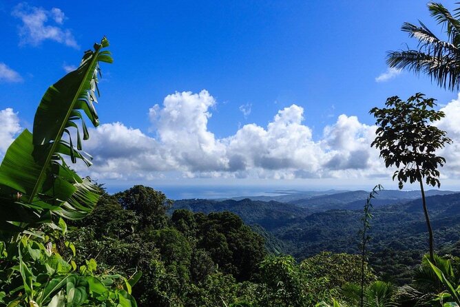 Zipline Canopy Tour with Transport from San Juan - How the price compares with the experience