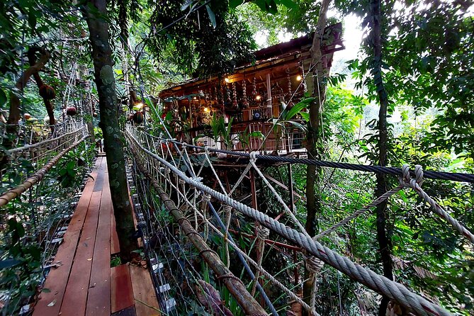 Zipline & Coffee with Waterfall Views in Koh Samui - Eight lines through the canopy