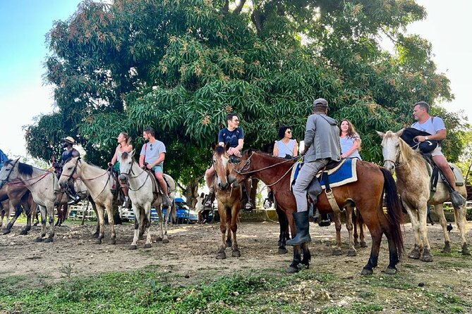 Zipline,Dune Buggy,Horse Riding - Horseback riding through cocoa country