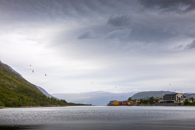 Zipline Experience in Mosjøen - Who Will Enjoy This Best?