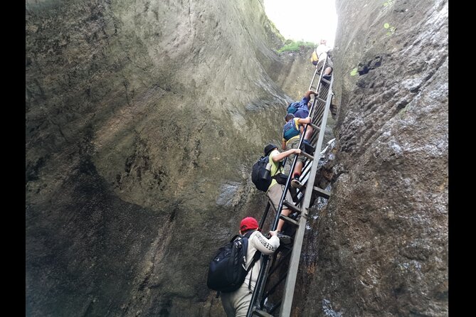 Zipline, Hiking and Canyon Crossing Expedition - From Bucharest to the Carpathian foothills