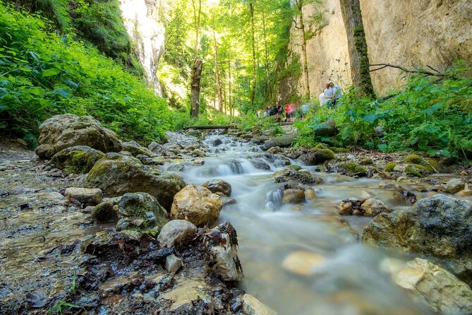Zipline, Hiking and Canyon Crossing Expedition - Two hours on foot in the Carpathians