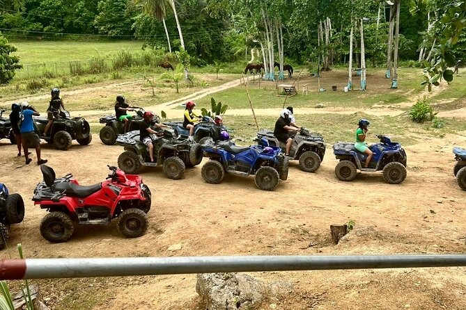 Zipline, Horseback Ride and Swim and Quad ATV bike in Negril - Who will enjoy this Jamaican adventure most