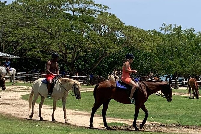 Zipline, Horseback Ride, ATV and Catamaran from Montego Bay - Four Jamaican adventures packed into six hours
