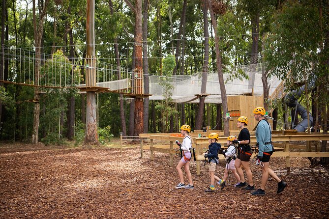 Zipline over the Heysen Trail & Through the Pines of Kuitpo - What the two hours are really worth
