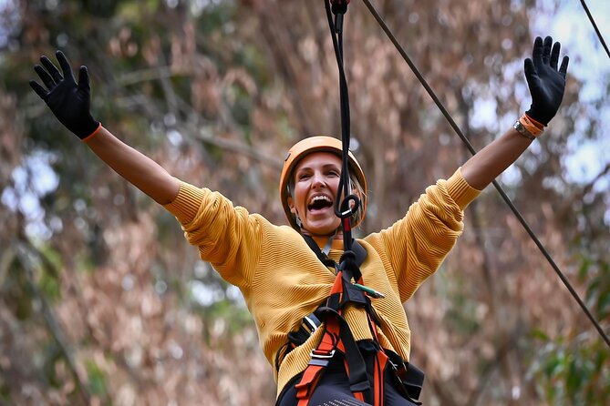 Zipline over the Heysen Trail & Through the Pines of Kuitpo - A good choice for confidence building