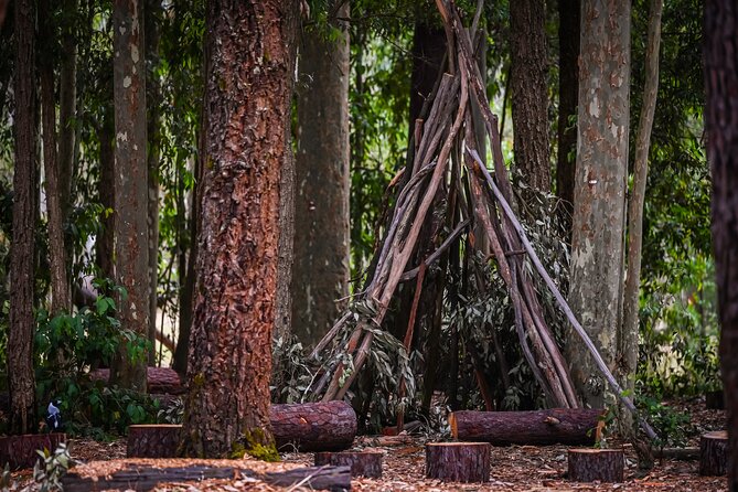 Zipline over the Heysen Trail & Through the Pines of Kuitpo - Weather can change the plan