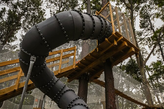 Zipline over the Heysen Trail & Through the Pines of Kuitpo - Four courses and 59 ways to test yourself