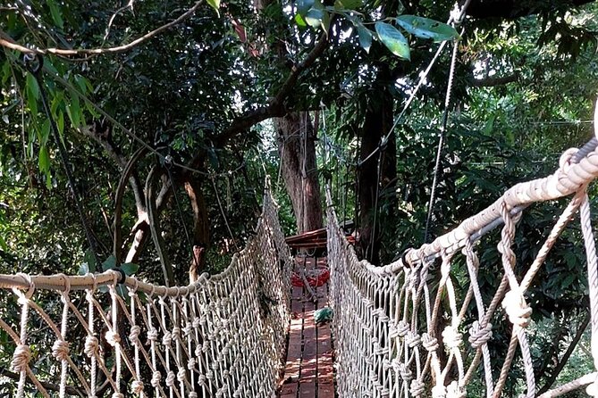 Zipline Ride on Koh Samui - Safety, equipment, and who can take part