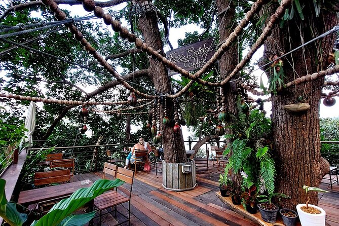 Zipline Ride on Koh Samui - Morning or afternoon: choosing the better slot