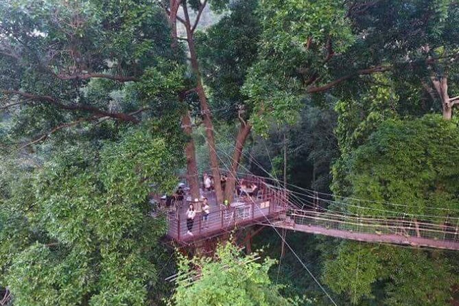 Zipline Ride on Koh Samui - What to bring and what to confirm