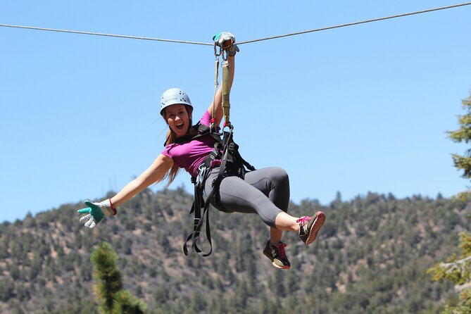 Zipline Tour - 9 high-speed ziplines & fun suspension bridge - Key points to know before you book