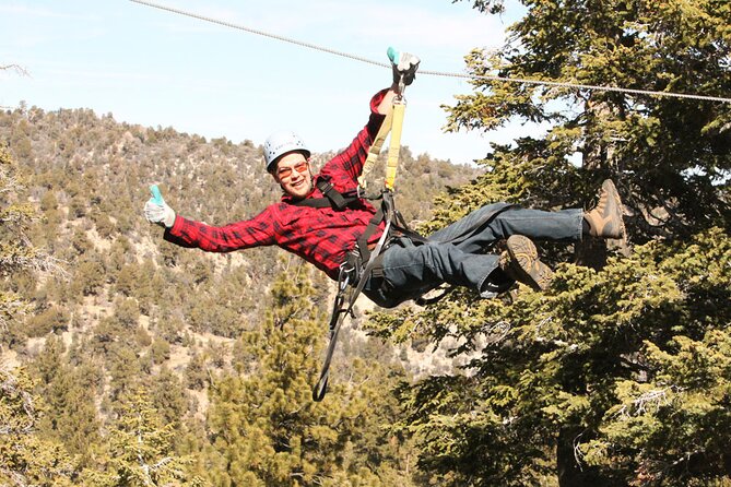 Zipline Tour - 9 high-speed ziplines & fun suspension bridge - Starting at Action Zipline Tours in Big Bear