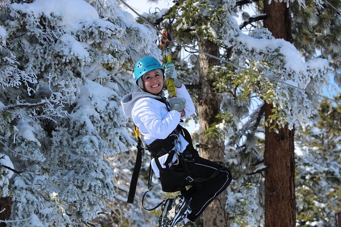 Zipline Tour - 9 high-speed ziplines & fun suspension bridge - The suspension bridge and Johnson Valley views