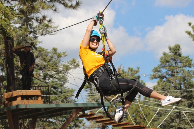 Zipline Tour - 9 high-speed ziplines & fun suspension bridge - Is the $178.21 price fair?