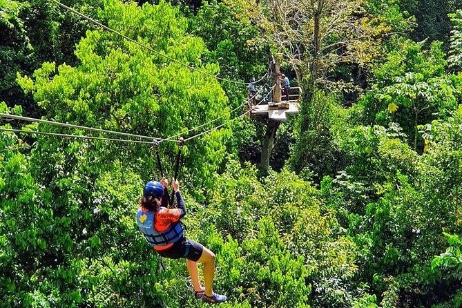 Zipline with Waterfalls and Lunch, Amber Cove and Taino Bay - Why the five ziplines change the Damajagua experience