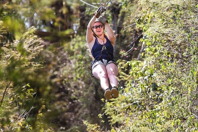 Ziplines and mezcal tasting - Key points at a glance