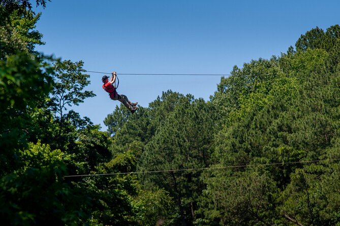 Ziplining and Climbing at The Adventure Park at Virginia Aquarium - Key points to know before you book