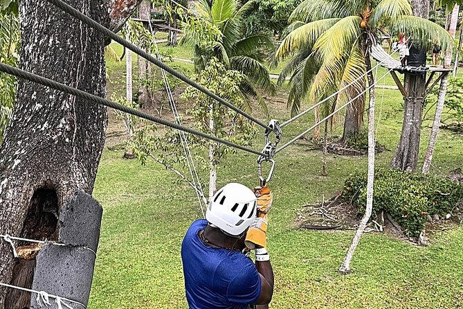 Ziplining and Dunn's River falls Combo from Montego Bay. - Drax Hall gives you 45 minutes for souvenirs